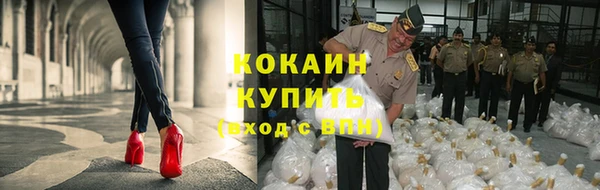 стафф Армянск