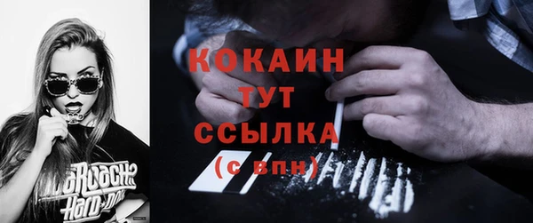 ПСИЛОЦИБИНОВЫЕ ГРИБЫ Арсеньев