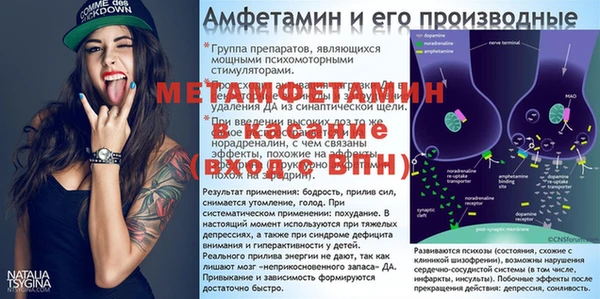 ПСИЛОЦИБИНОВЫЕ ГРИБЫ Арсеньев