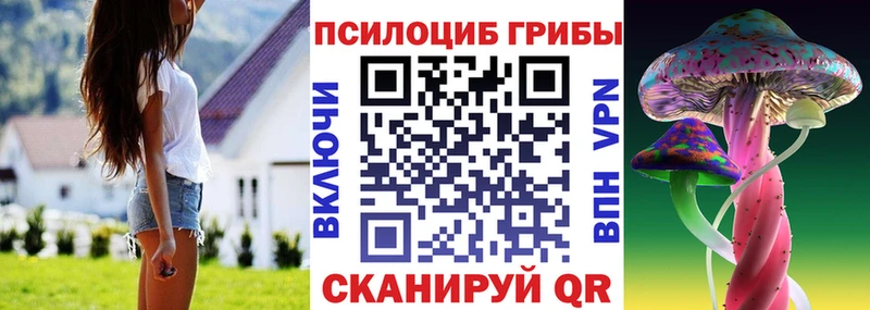 darknet как зайти где можно купить Валдай Галлюциногенные грибы прущие грибы